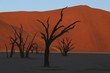 Dead Vlei, Namib Desert, Namibia