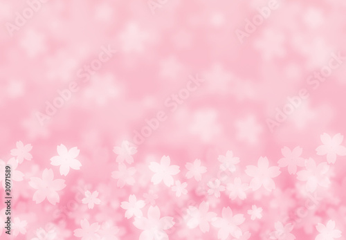 Illustration: 桜cg02 桜cg02