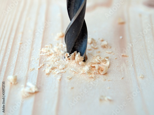 Foto: Holzbohrer Holzbohrer