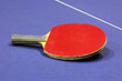 Equipment for table tennis - racket, ball, table Equipment for table tennis - racket, ball, table