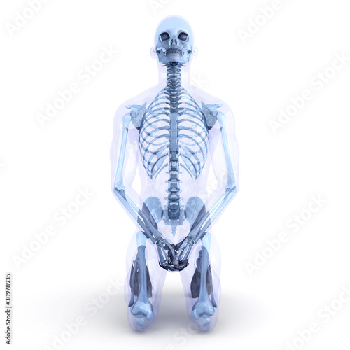 Illustration: Anatomie - Sitzen Anatomie - Sitzen