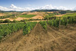 toscana