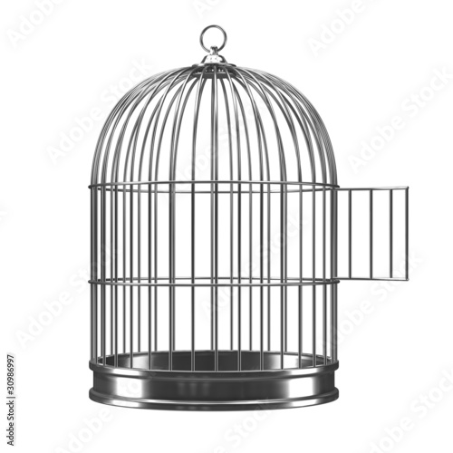 Open Bird Cage
