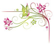 Ranke, Frühling, flora, Blumen, Blüten, filigran, grün, pink Ranke, Frühling, flora, Blumen, Blüten, filigran, grün, pink