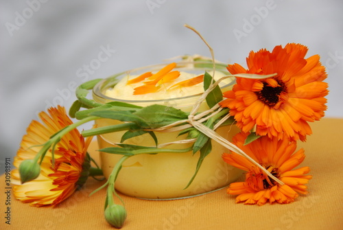 Foto: Ringelblumensalbe (Calendula )Herstellung Naturkosmetik Ringelblumensalbe (Calendula )Herstellung Naturkosmetik