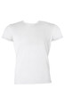 Blank white male t-shirt
