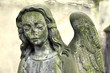 The Angel on the old Prague Cemetery, Czech Republic