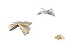 Flying books