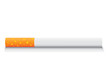 eps8 vector isolated cigarette - detailed realistic illustration