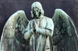 he Angel on the old Prague Cemetery, Czech Republic