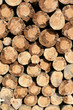 Holzstapel