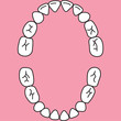 Baby teeth1