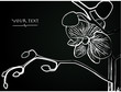 Orchid flower 2