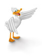 White duck