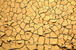 Dried cracked earth