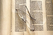 Photo: Alte Torah Alte Torah
