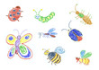Different insects