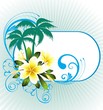 Summer tropical background with frangipani  flowers