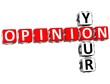 Your Opinion Crossword
