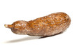Casava