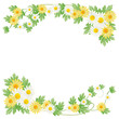 Daisy Background