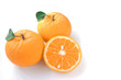 Orange on white background