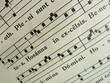 Photo: Hosanna Hosanna