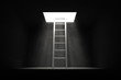 Exit the Dark - Grey Ladder to the Light