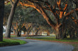 old south