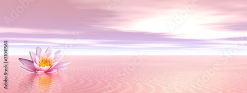 Illustration: Lily flower in clear pink ocean Lily flower in clear pink ocean