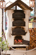 Forno a legna
