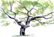 tree, watercolor