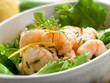 shrimp salad