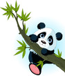 Giant panda climbing tree Giant panda climbing tree