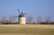 moulin à vent 15
