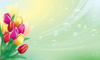 Bunch of tulips over green background Bunch of tulips over green background