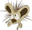 Small hedgehog. Cartoon