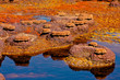 Couleurs du Dallol - 11