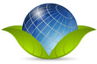 Globo