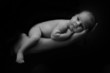 Newborn baby on the father's hand, b/w Newborn baby on the father's hand, b/w
