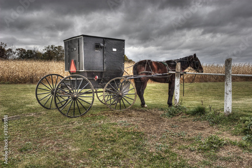 Photo: Amish Carriage and Horse Princeton Wisconsin Amish Carriage and Horse Princeton Wisconsin