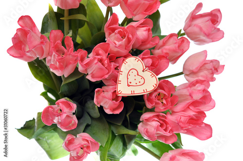 Photo: tulipany tulipany