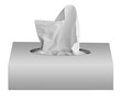 home napkins in box isolated on the white background home napkins in box isolated on the white background