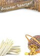 frischer Spargel - flyer frischer Spargel - flyer