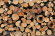 woodpile, logging, lumber woodpile, logging, lumber