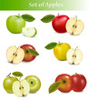 Big set of fresh apples. Vector.