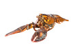 Nice piece of lobster Nice piece of lobster