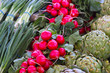 Garden Vegetables Garden Vegetables