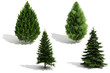 3d tree pack - render on white background