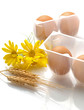 Bio eggs - Uova biologiche